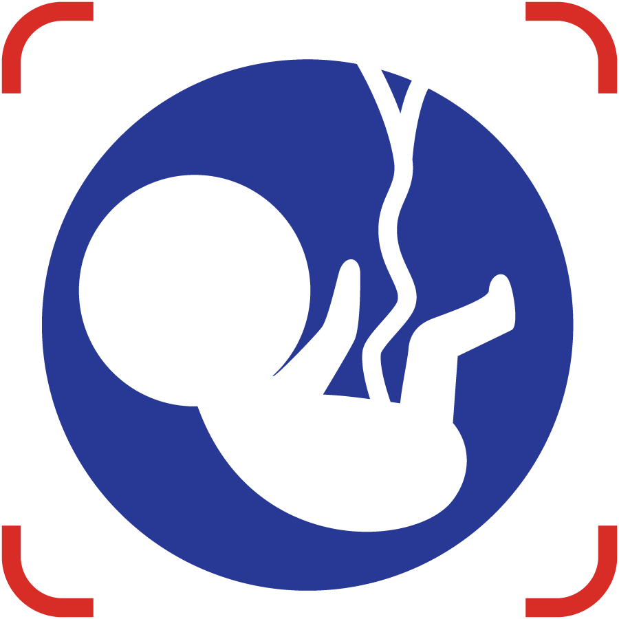 America's HealthShare – Fetus (ico)